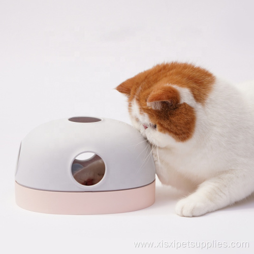 cat toy design funny changeable for playing toy